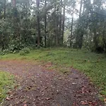 Bosques Del Rio Hostal