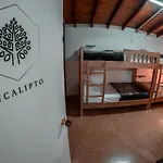 Laureles Medellin Hostel