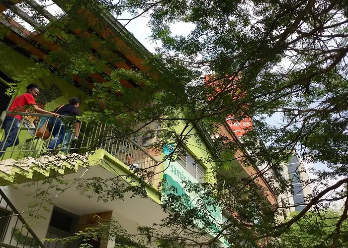 Saman Hostel Medellin