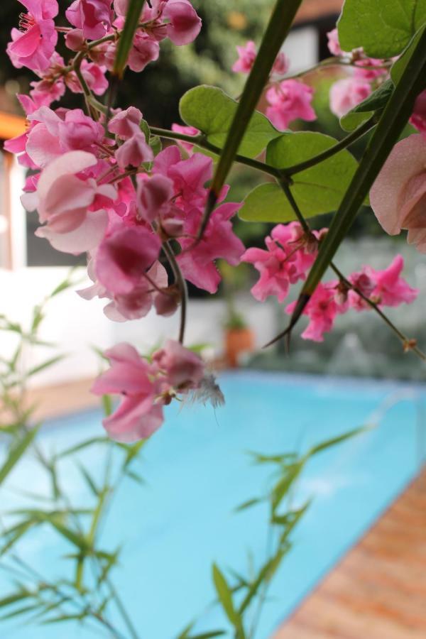 Boutique Rosas 5 G Hotel Medellin