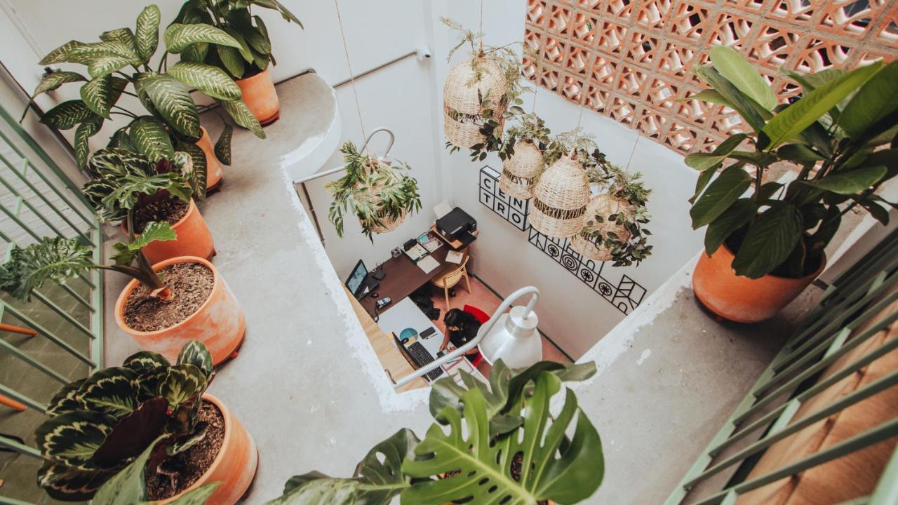 Centro Hostal