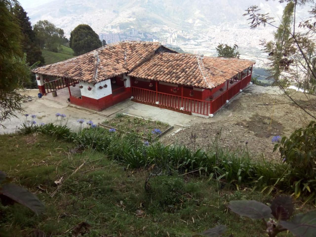 Glamping & Coffee Tour Luxury tent Medellin