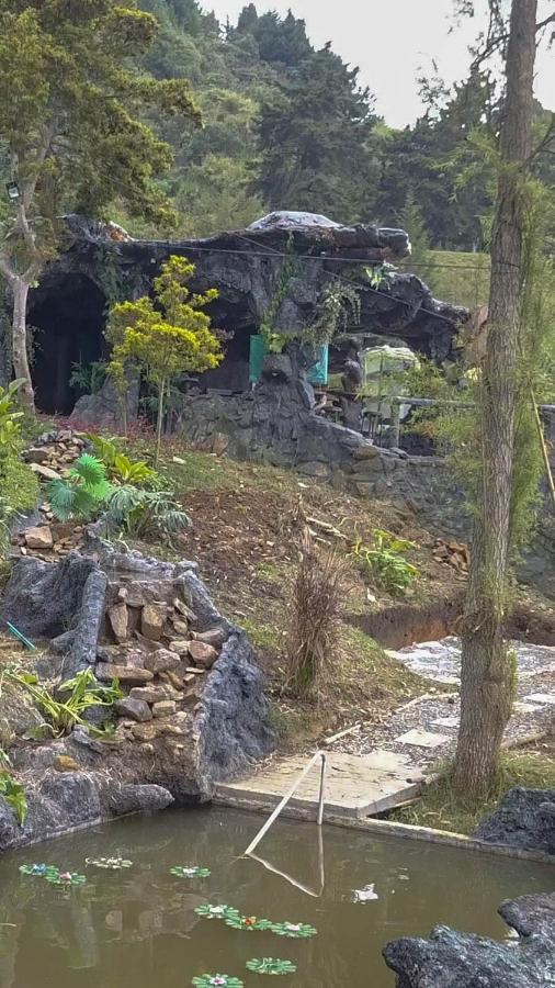 Luxury tent Glamping & Coffee Tour *