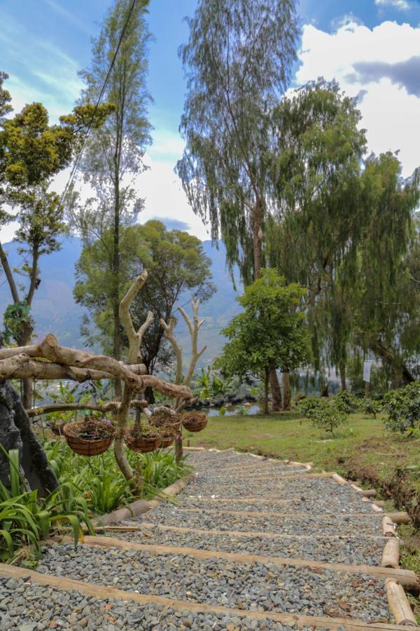 Glamping & Coffee Tour * Medellin