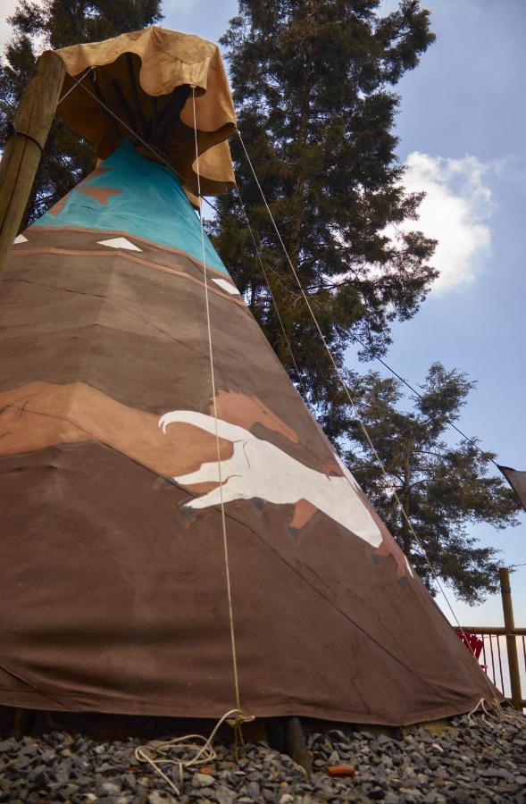 Tipi *