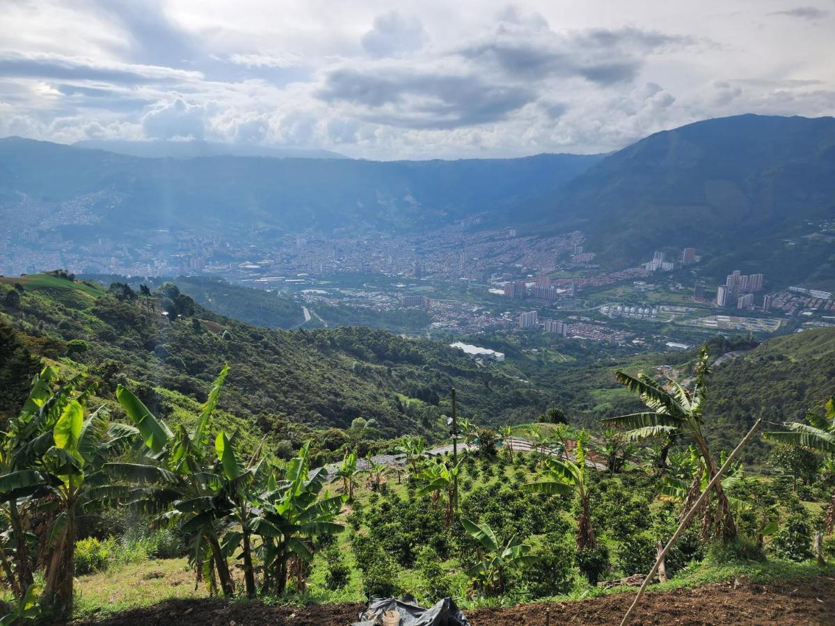 Glamping & Coffee Tour * Medellin