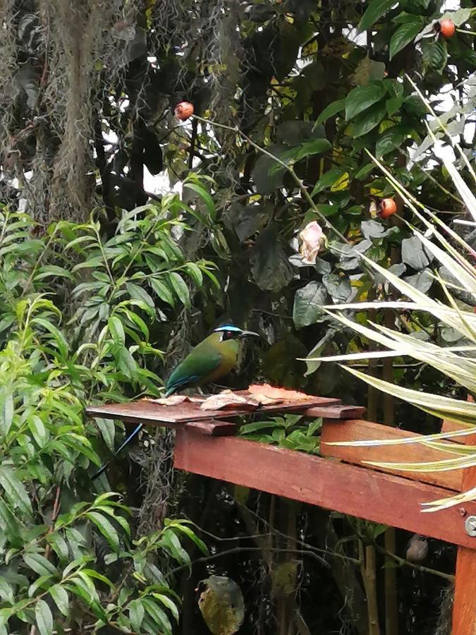 Eco Hostal Casa La Juana Bed & Breakfast *