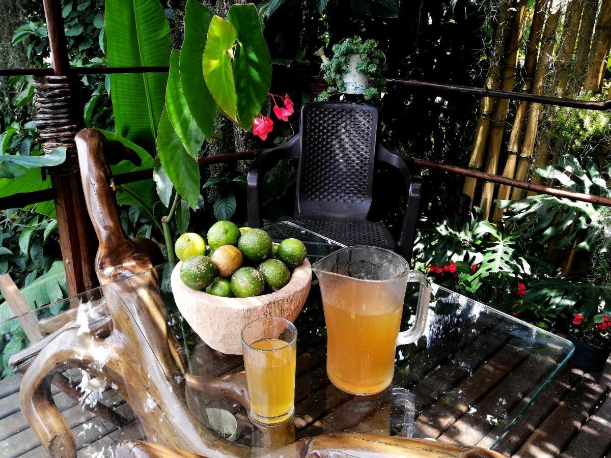 Bed & Breakfast Eco Hostal Casa La Juana *