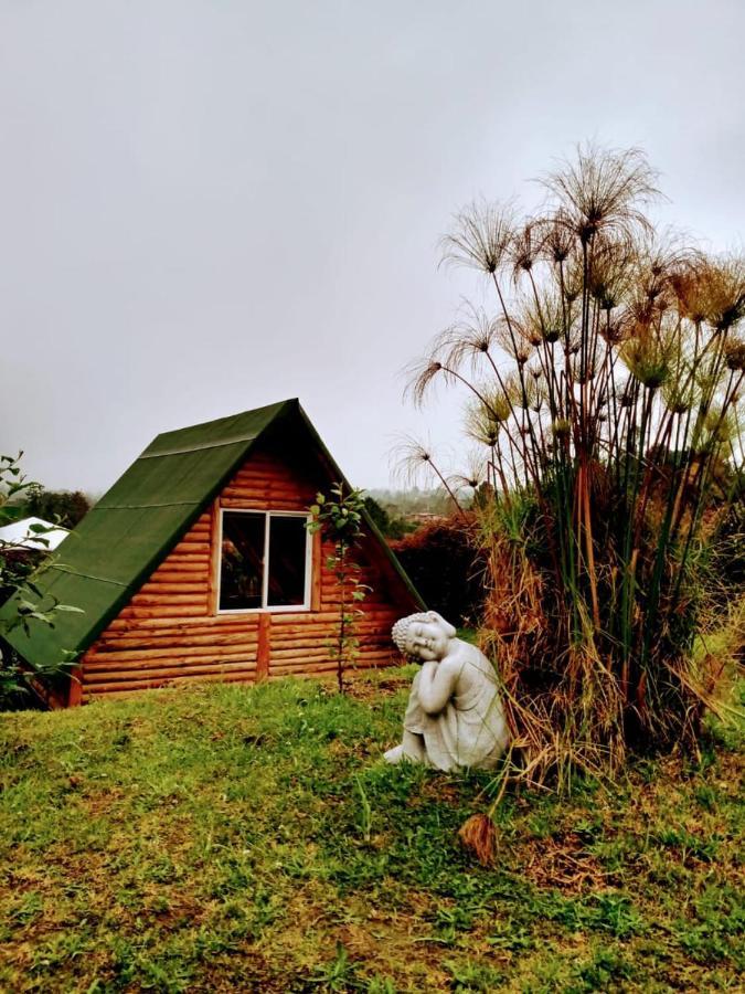 Behappy Glamping Campsite Medellin