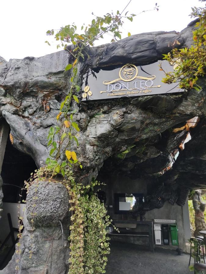 Luxury tent Glamping & Coffee Tour *