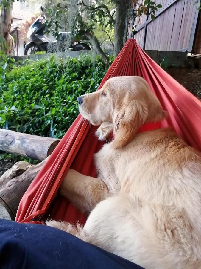 Bed & Breakfast Eco Hostal Casa La Juana