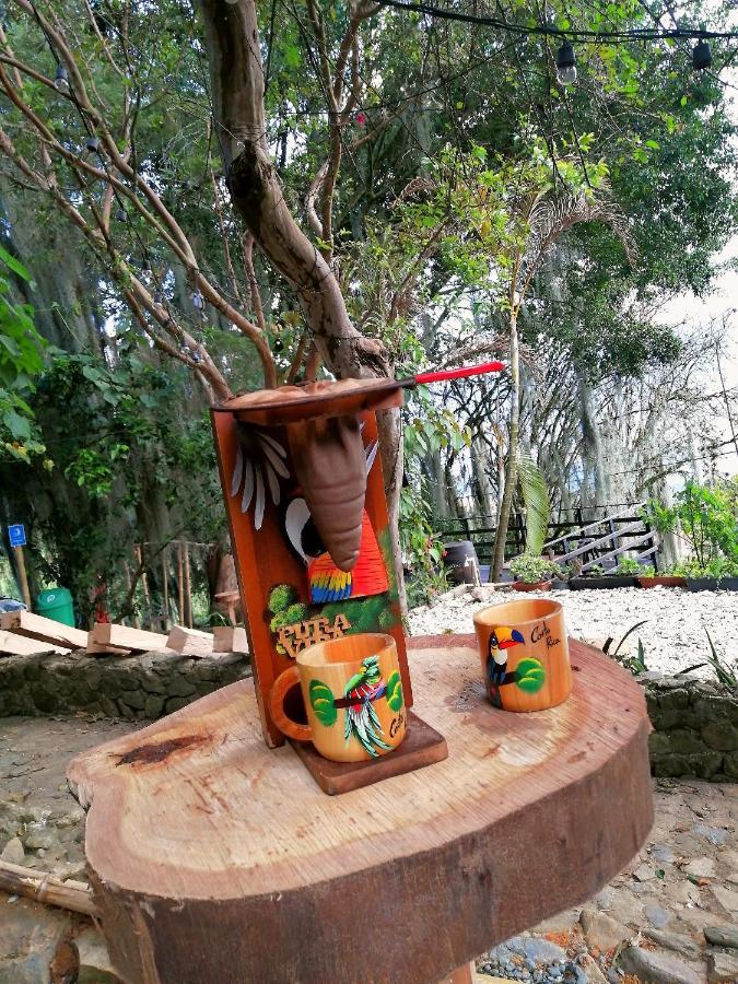 Eco Hostal Casa La Juana Bed & Breakfast