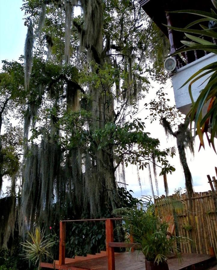 Eco Hostal Casa La Juana Bed & Breakfast