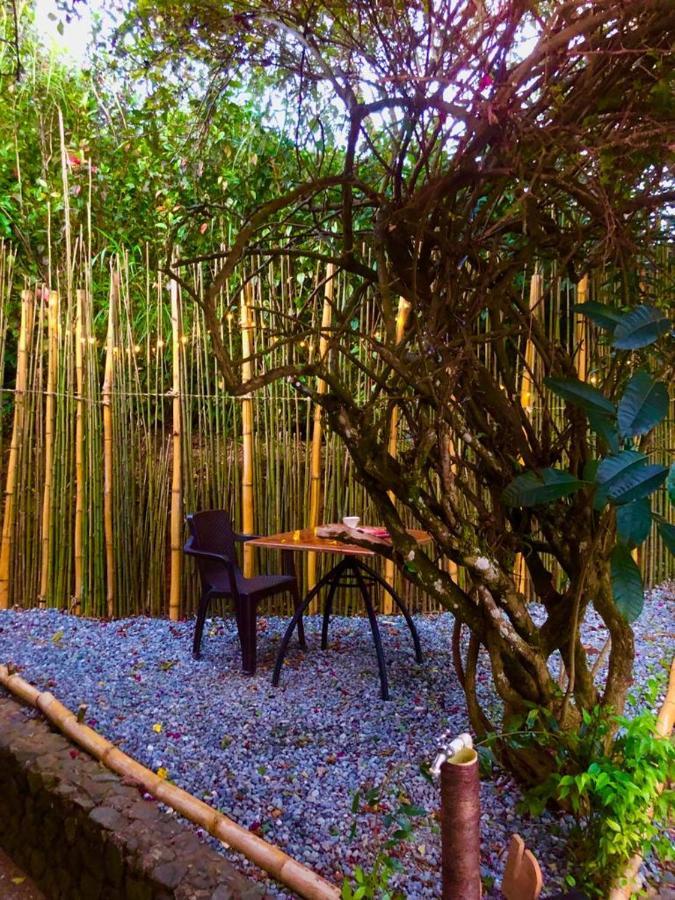 Eco Hostal Casa La Juana Bed & Breakfast *