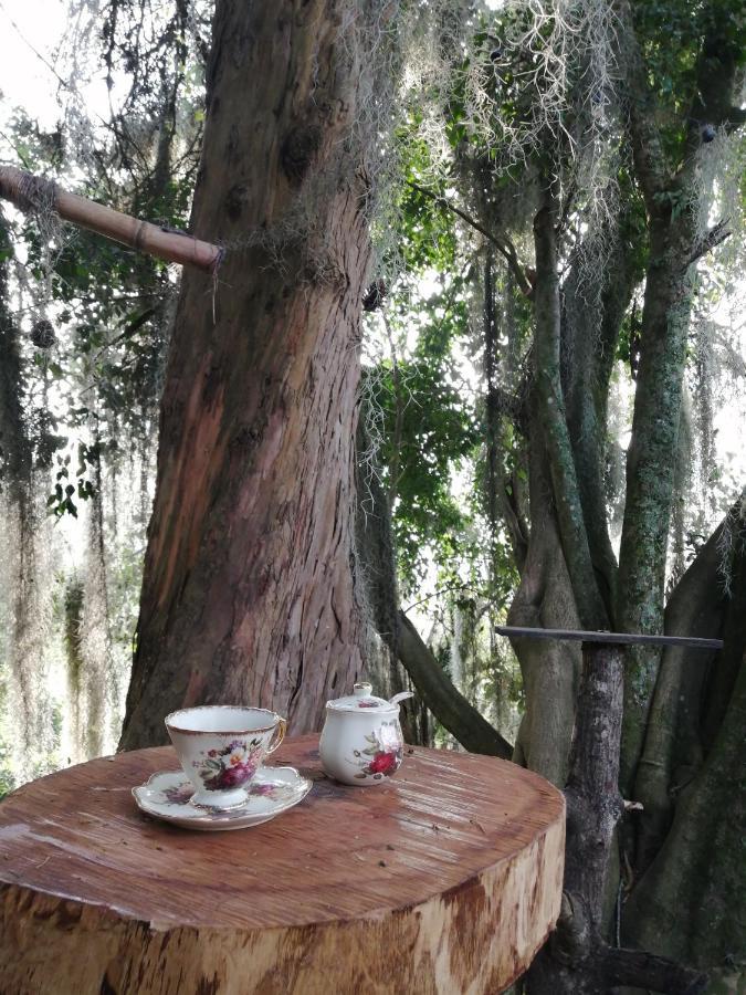 Eco Hostal Casa La Juana Bed & Breakfast *