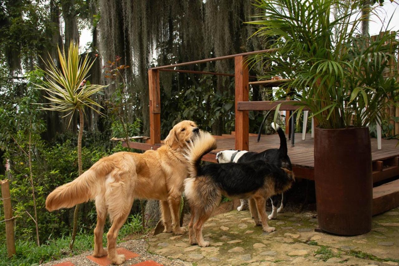Bed & Breakfast Eco Hostal Casa La Juana Medellin