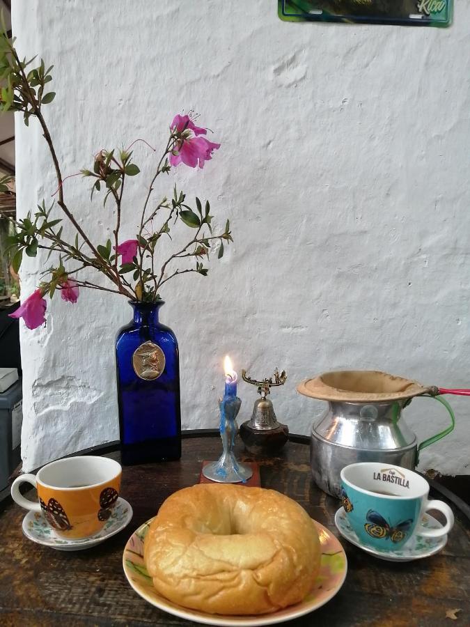 Eco Hostal Casa La Juana Bed & Breakfast Medellin