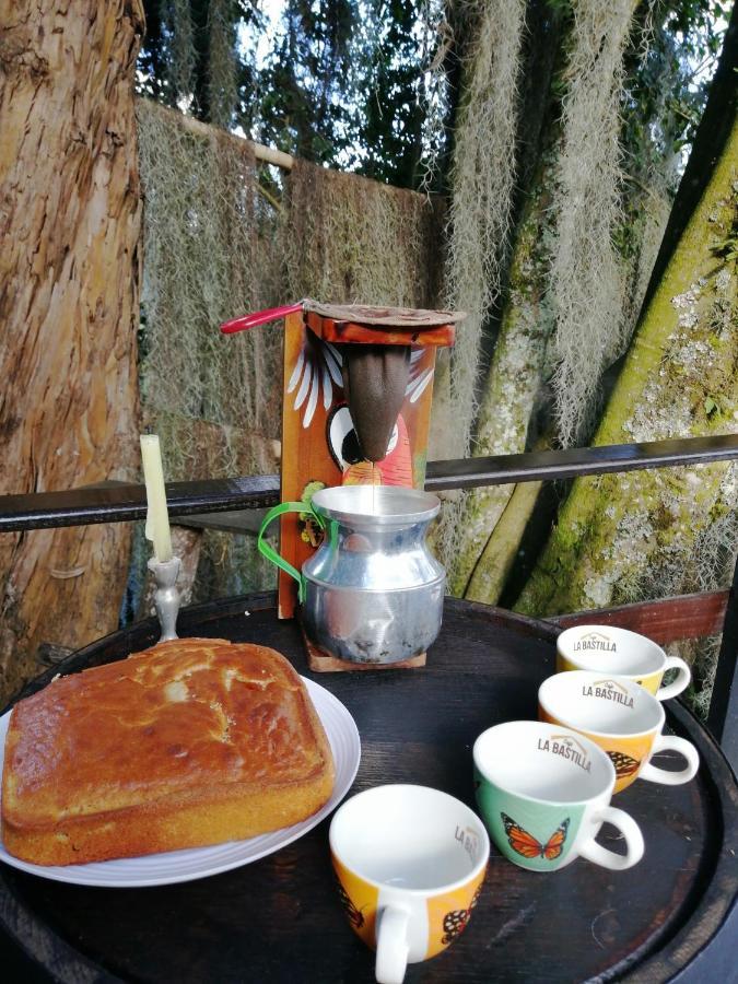 Bed & Breakfast Eco Hostal Casa La Juana *