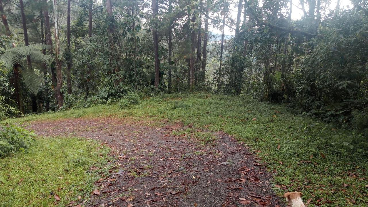 Bosques Del Rio Medellín