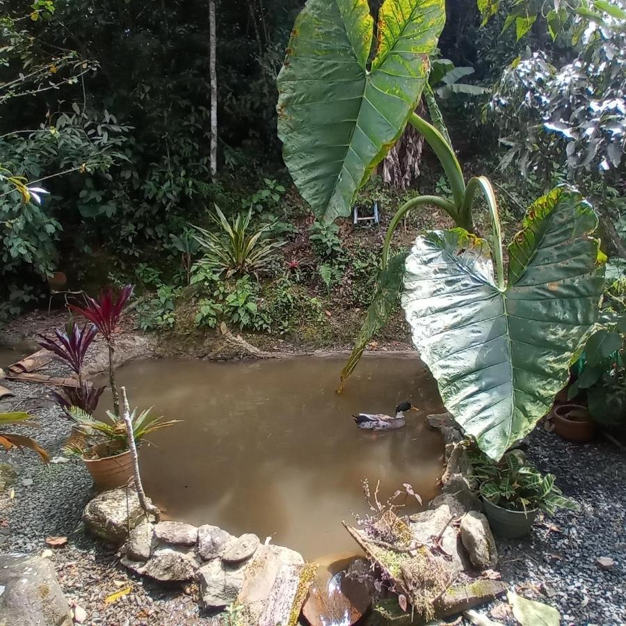 Bosques Del Rio Casa de hóspedes Medellín