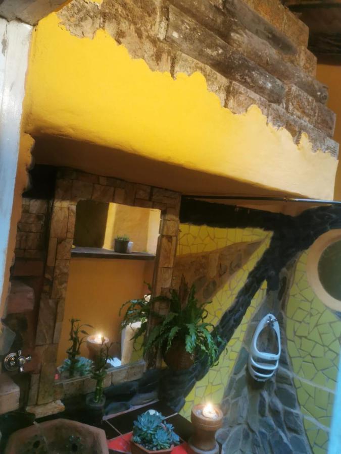 Botanico * Medellin