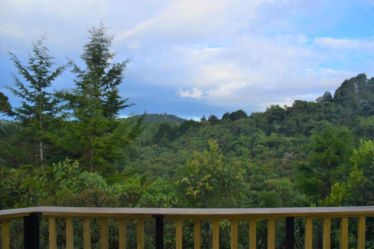 Petit Verdot Chalet Medellin