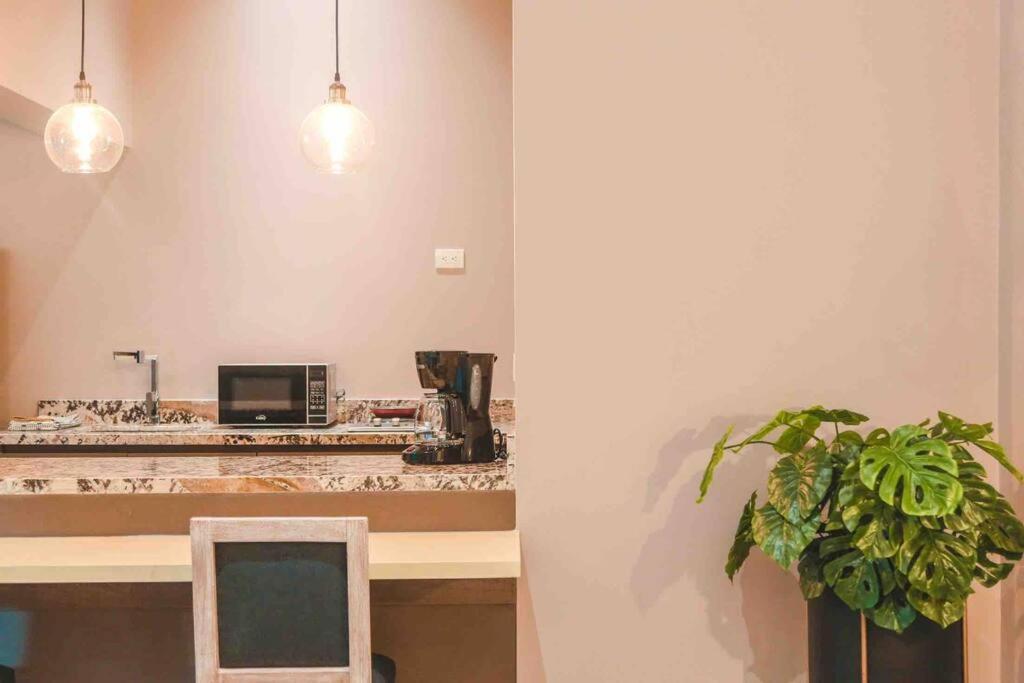 Apto Br 6 Min De Provenza, Encanto Natural Apartment