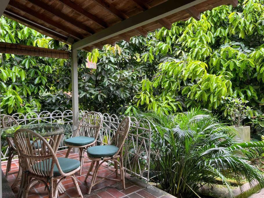 Apartment Apto Br 6 Min De Provenza, Encanto Natural