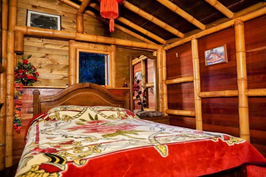 Simba Chalet Medellin