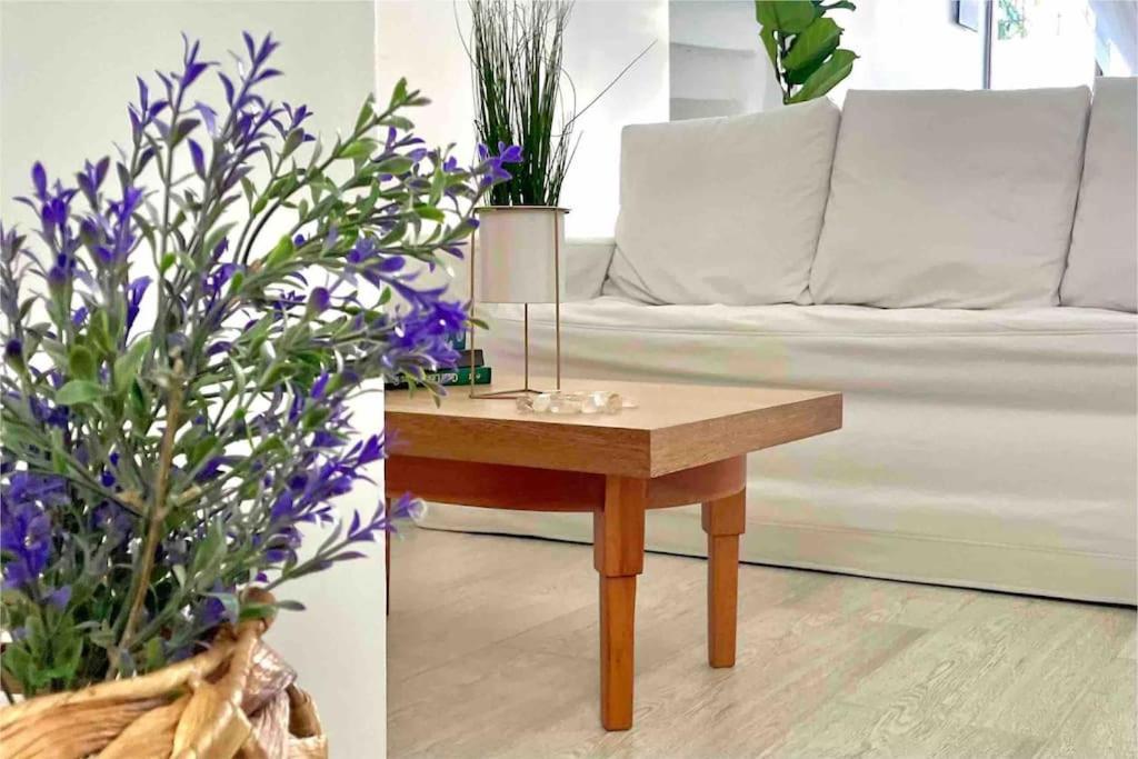 Casa Luz Boutique, Live Local! Medellin