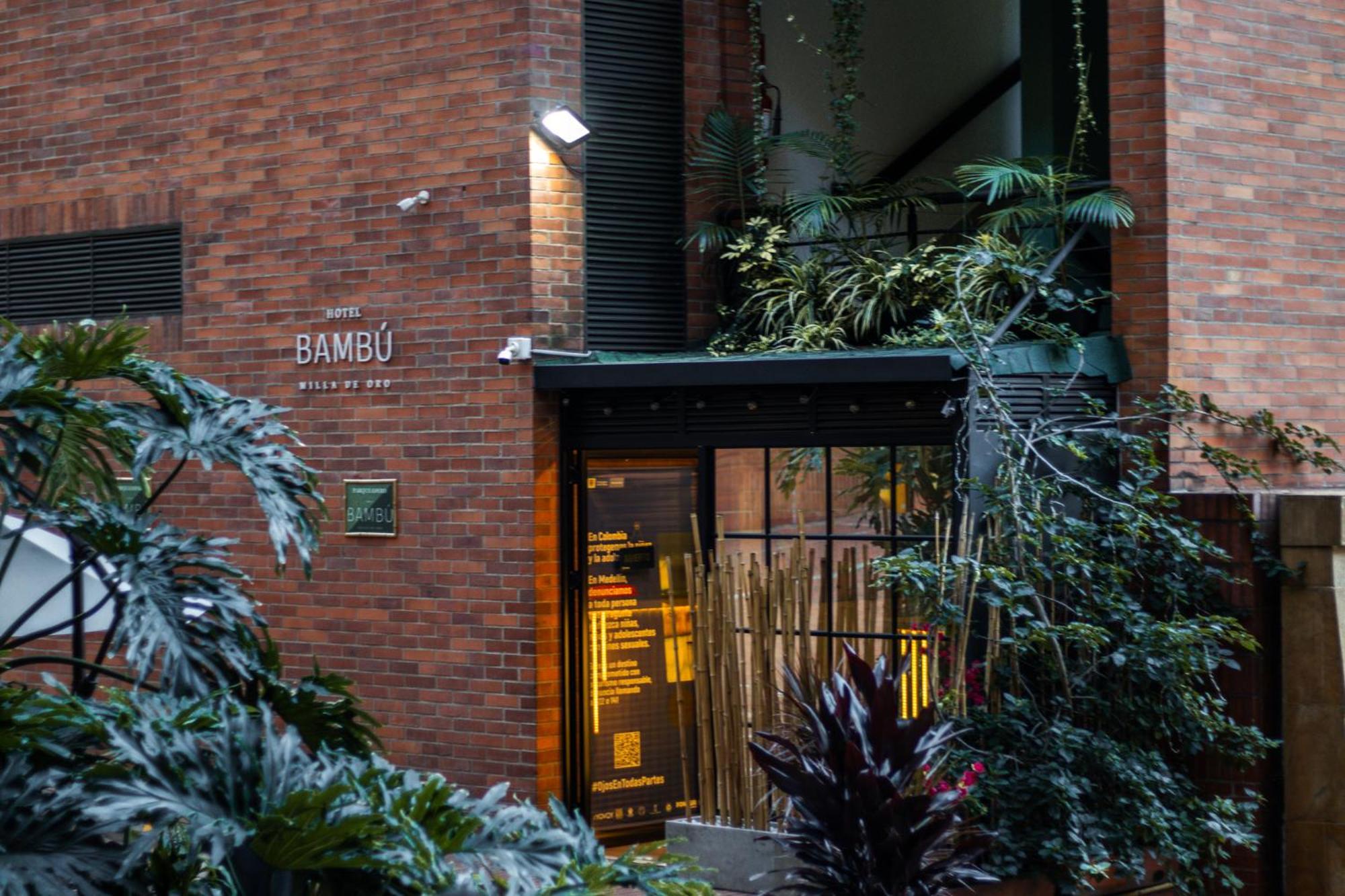 Bambu Milla De Oro * Medellin