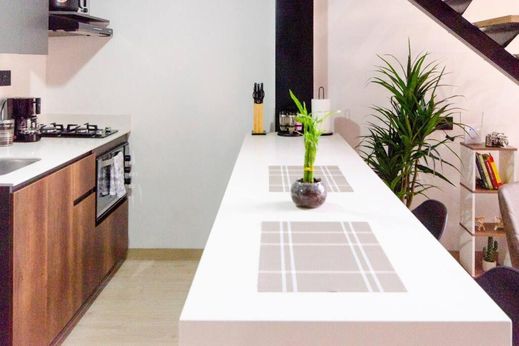Tipo Loft Apartment