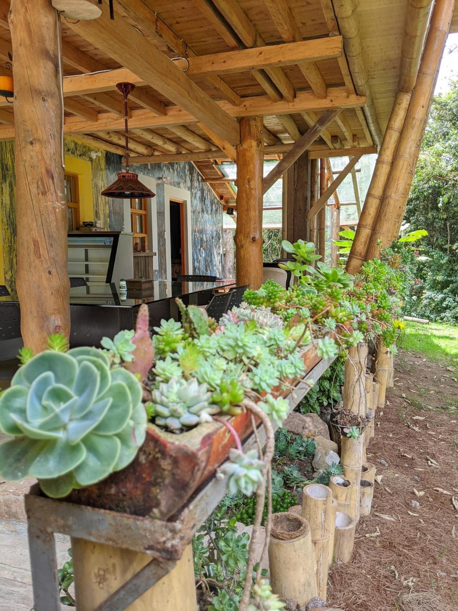Refugio En El Bosque Guest house *