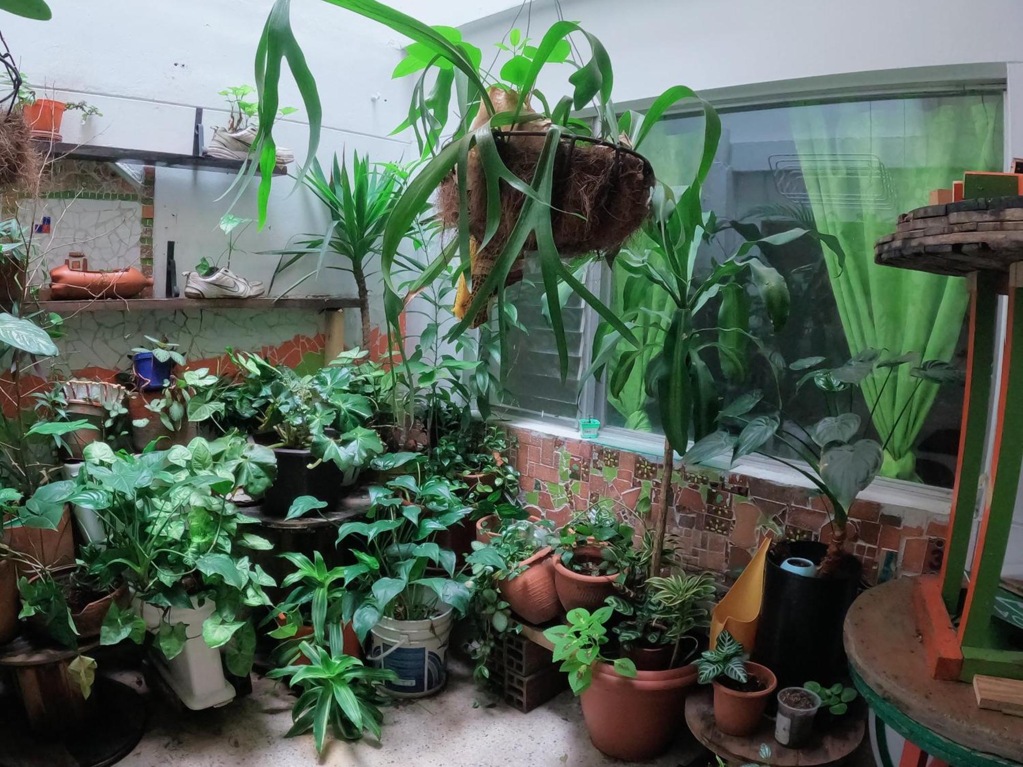 Rich Albergue Medellín