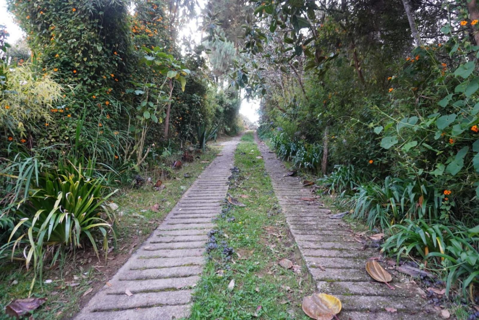 En Campestre Compartido Tipo En Santa Elena Cerca A Y Aeropuerto Jmc - Aru Medellin