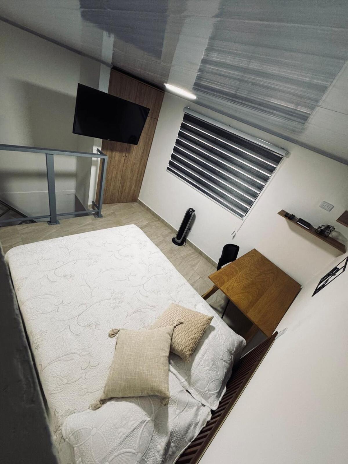 Modern Near Tourist And Commercial Area Apartment