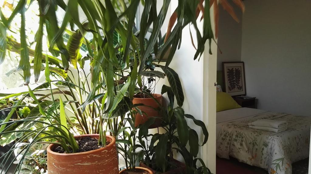 Hostel Saman Medellin