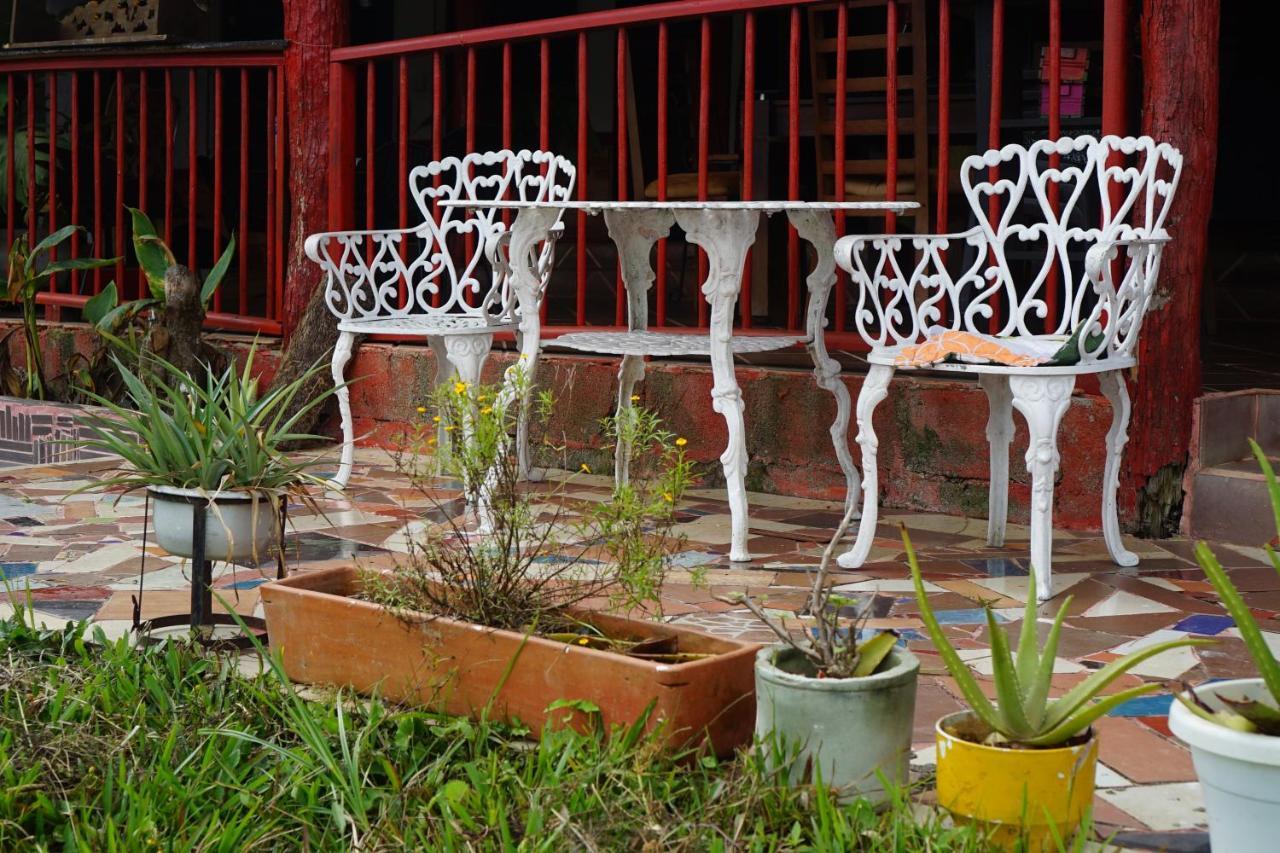 Eco Language Hostel Medellin