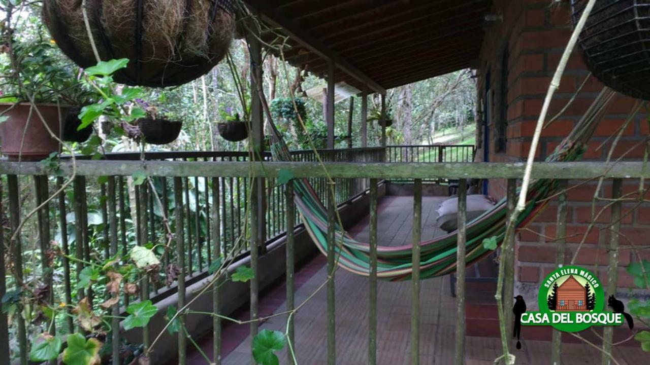 Casa Del Bosque Guest house Medellin