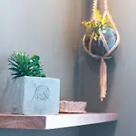 Apartamento En Laureles Barrio Turistico De Medellin Nid205 By Roots Rentals