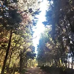 Cabana La Morada