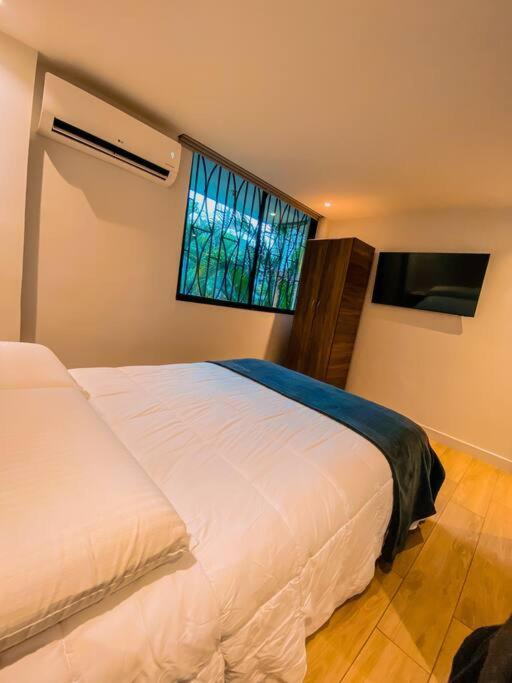 Apartamento 57 Garden Loft