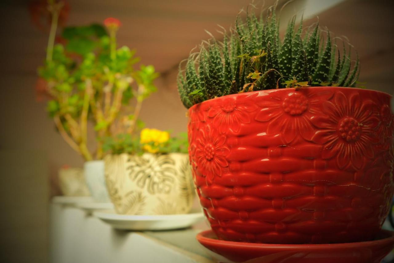 Metro Floresta Guest house