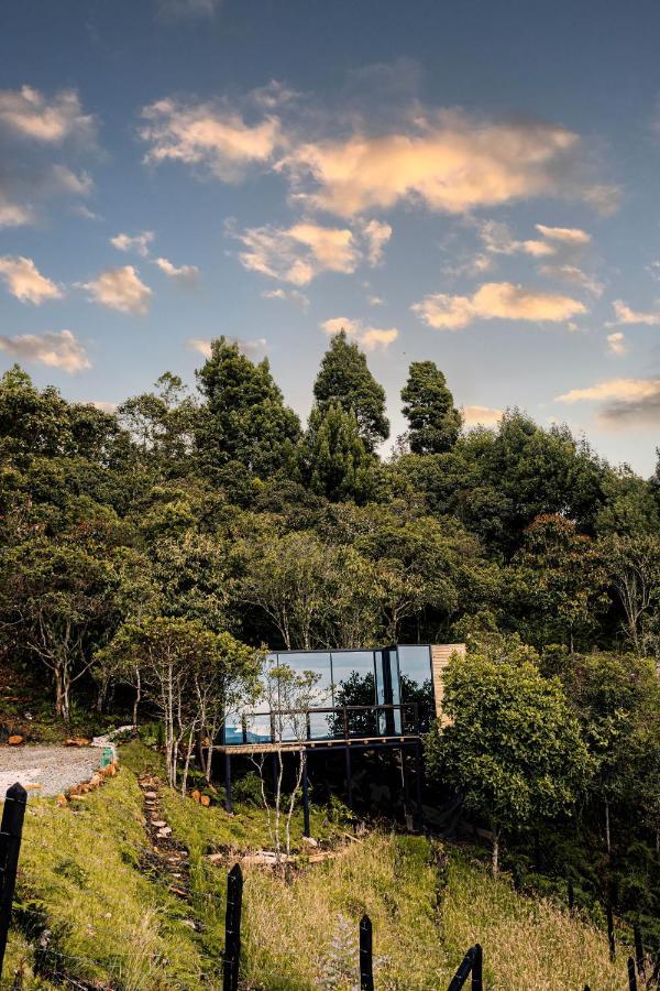Giueg Refugio Medellin