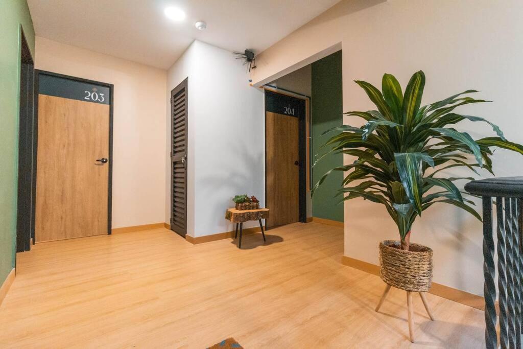 Apartment Arrendamiento Nuevo Con Balcon By Roots Nid202 *