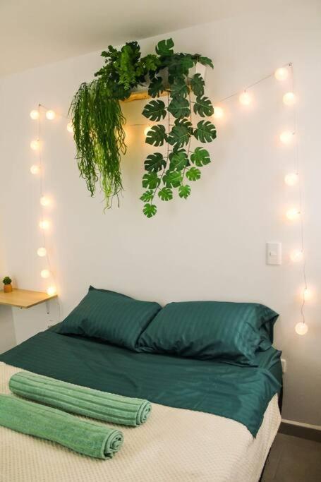 Apartment Nativo House Amplio Y Acogedo