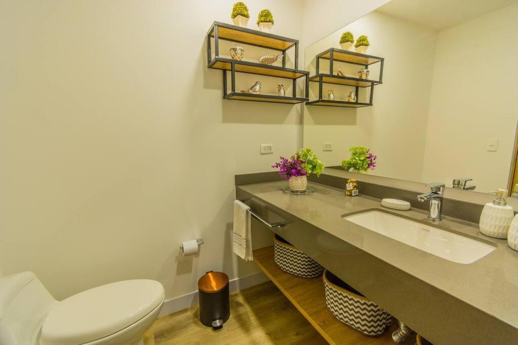 Apartment Beautiful In El Poblado, Coworking, Fast Wifi *