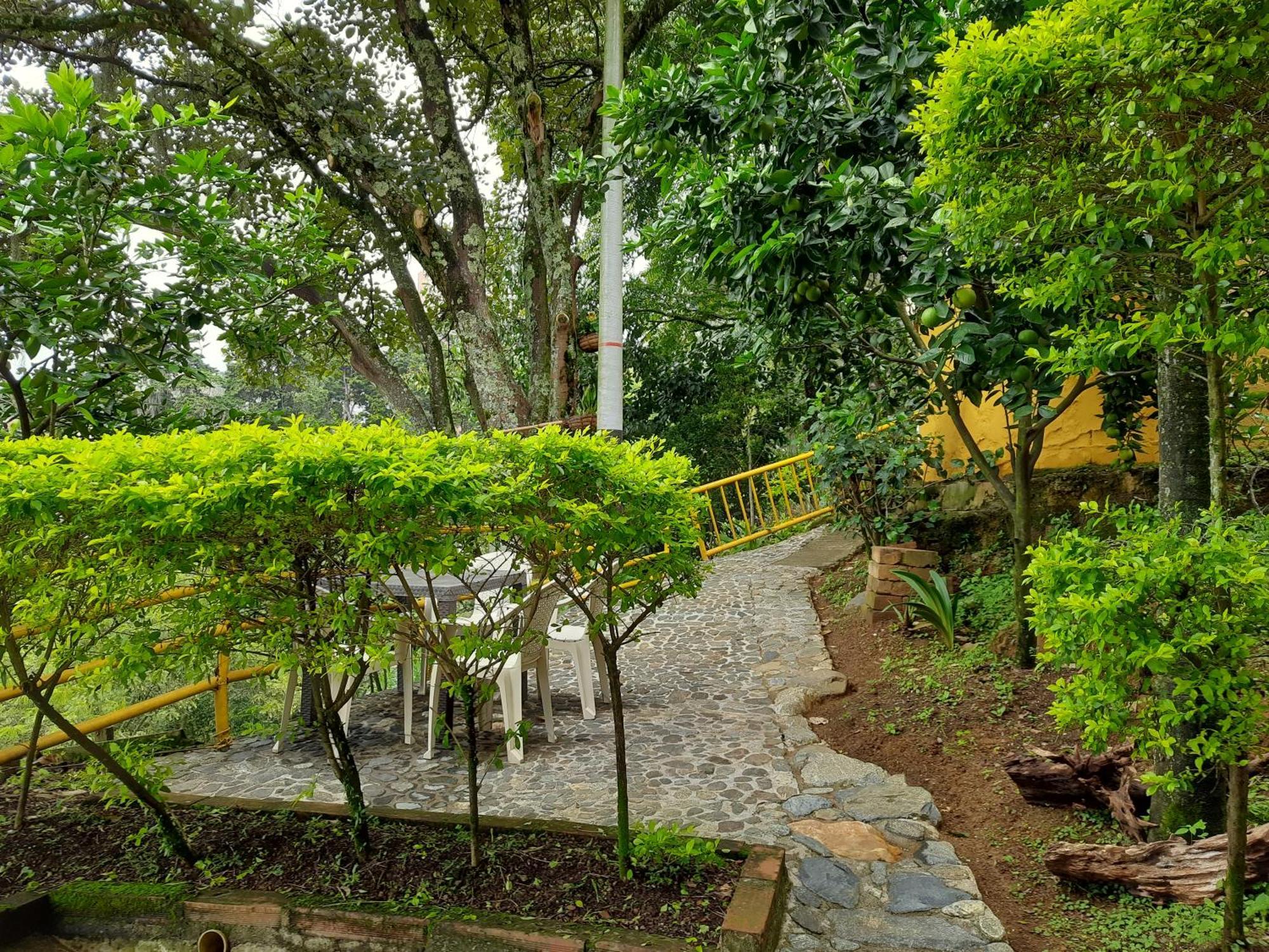 Pintoresco * Medellin