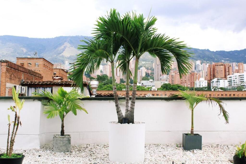 Zona Rosa El Poblado 202 Medellin