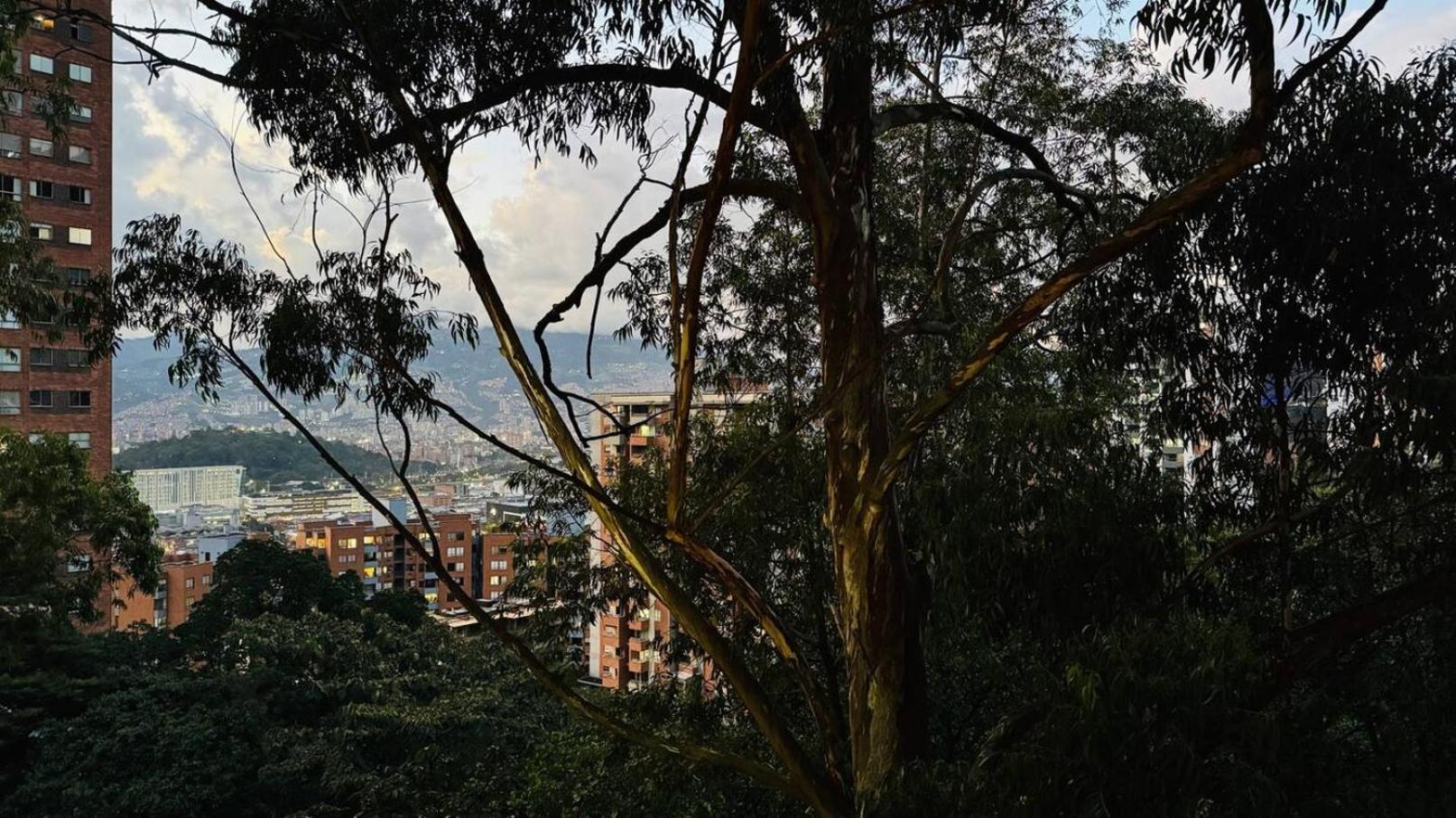 Apartment 3br By Palmagrande Mall Pool El Poblado *